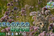 【Eテレ】地球ドラマチック「生きものたちの秘密の庭」