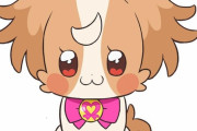 【朗報】プリキュア最新作に「犬のプリキュア」初登場ｗｗｗｗｗｗｗｗ