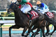 岩手競馬のリッジマン、ジャパンカップ参戦www