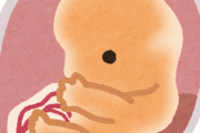 【実験】胎児はお腹の中で母親が食べたものの「味」に反応していた！