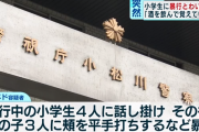インド人、河川敷で男児3人に平手打ち、その後女児にわいせつ行為