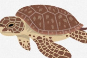 生き物の中で、「亀」だけ異質すぎない？