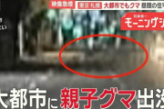 東京、札幌…大都市にクマ「フェーズが変わった」　市街地で「血だらけの女性が」
