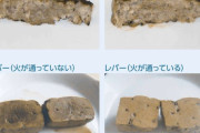【生焼け】色弱ワイ、この画像の違いがわからなくて詰む