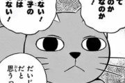 ★【ワートリ】ワールドトリガー4大猫