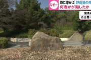 池に浮かんだ「死んだ野良ネコ」次々発見…公園で見つかった死骸10匹以上 周辺にはネコ用のエサの袋散乱