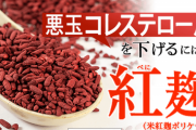 小林製薬の紅麹、回避不能全体攻撃だった