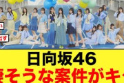【日向坂46】また凄そうな案件がキタ！！【日向坂ちゃんねる】