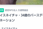 【競馬】「ナイスネイチャ」34歳バースデードネーション開始　目標の850万円は5時間で達成  [あずささん★]
