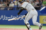 大山悠輔(神) 打率.293(427-125) 14本 64打点 出塁率.405 OPS.857