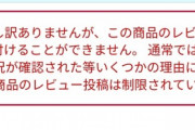 【悲報】ダイパリメイク、Amazonレビューが停止になってしまう…