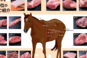 なぜ競馬場に馬肉料理屋を作らないのか？