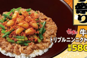【画像】すき家の新商品「牛丼 トリプルニンニクMIX」が旨そうｗｗｗ