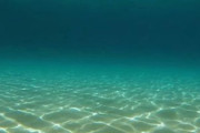 【海中】海の怖い画像を貼ってくぞ