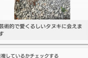【ポケモンGO】ポケスト申請「低クオリティの画像」を勘違いして否認理由にする奴･･･本来はピントがボケてる。暗くて何も見えないレベルで理由にすべき項目