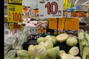【画像】中国産のキャベツ、グラム10円ｗｗｗｗｗｗ