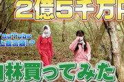 【謎】田舎者だが、最近テレビが「山買う奴が増えてます！！」とか言い出したけどなんなの？ 嘘つくなよ・・・