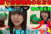 【冨里奈央】ワニの恐怖で感情が爆発するなおなおが可愛い…なぜか2度噛まれる/文字起こし（乃木坂46・のぎおび）