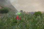 【FF14】「ヨカフイ族」の花を持ってくるデイリークエ、目的場所が異常な遠さでヒカセン達がお怒りにｗｗｗｗｗ
