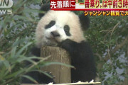 上野動物園「パンダおるで～ｗ」 日本人「行列並びてえ！！」 アドベンチャーワールド「あの……」