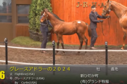 【セレクトセール2024】グレースアドラーの2024（父フライトライン）2億1000万円で落札　他