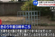 17歳の兄「6歳の妹がジャングルジムから落ちた」と119番するも死亡→実際は兄が殺害していたことが判明