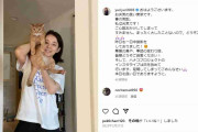 “ペット機内持ち込み”巡って炎上の石田ゆり子、猛批判にも長文で感謝　「言葉が足りなかった」「一緒に脱出できるようになったら」