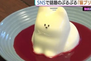 【悲報】ネコプリンを韓国スイーツと紹介した問題、鎮火せず　NHKは無言削除も一部では逆ギレ反論「公式Xで表現を改めた」