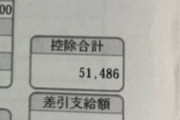 【画像】若者「ハァハァ…17万円稼いだぞ…」