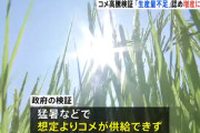石破内閣「JAとか仲卸のせいにしてすまんwコメ足りないだけだったわw」