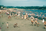 【画像】1949年の日本人の海水浴
