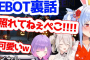 Vtuber なぜPEBOTはしら建になれなかったのか・・・てかPEBOTなんてクソみてえなユニット名つけるならうさ建でいいだろｗｗｗｗｗ