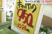 【悲報】春キャベツの価格が1玉1000円超　ラーメン店はトッピングを中止、お好み焼き店はもやしでカサ増し