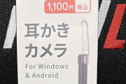 ダイソーなどで売っている「耳かきカメラ」変態的な使い方が紹介される