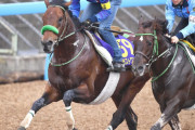 【競馬・大阪杯】ブラストワンピース大竹「去年は絞り過ぎた。今年は大丈夫」