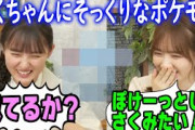 さくちゃんにそっくりなポケモンを明かす田村真佑と気に入る遠藤さくら【文字起こし】乃木坂46