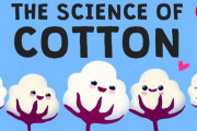 なぜ綿はいろんなものに含まれているのか？　海外の反応