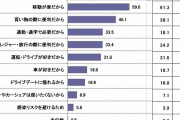 20歳がマイカーを持たないワケ3位「事故を起こしたくない」、2位「必要性がない」、1位は？ |  ガソリン代  |  40超えてから車の必要性がわかった。