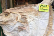マンボウの干物の値段予想以上に高い　お前らの想像してる10倍は高い