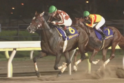 南関三冠馬ミックファイア引退、種牡馬入り