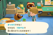 【あつまれどうぶつの森】今回雑草も売れるのか！一番最初のローン返すの簡単じゃねえか？
