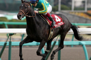 サトノクラウン産駒6勝　サトノダイヤモンド1勝
