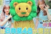 【日向坂46】次週『ぽかぽか 肉食さんぽ』佐々木久美＆河田陽菜が出演決定！！！