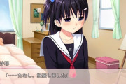 人生でエ〇ゲ一回もやったことない奴いる？
