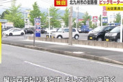 ビッグモーター元社員「経営幹部が街路樹の掘り起こしを始めたんすよ」