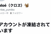 アホパヨ春のBAN祭が自然発生中　～　立憲民主党支持者のツイッターアカウントが次々と凍結されている模様