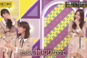 梅澤「理々杏の真似しまーす」なんJ民「アハハ！」 渡辺「れなちの真似しまーす」なんJ民「これはいけない」←何故なのか…【乃木坂46】