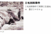 でも三毛別羆事件より凄惨な事件ってあったの？