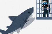 サメ「強いです、早いです、不味いです」←この人間にとって害でしかない生き物