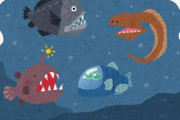 深海魚ってなんでこんな怖いのばっかりなんだろう？